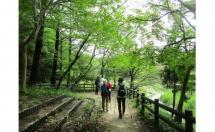 1ウエルネス紹介-s 1ウエルネス紹介-s