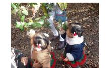 4かるがも紹介-s 4かるがも紹介-s