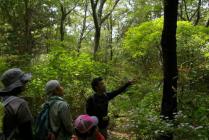 11ミニガイドツアー-s