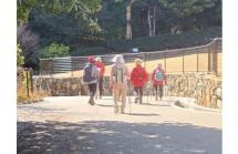 1ウエルネス報告-s