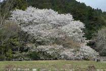 02山撮り写真-s 02山撮り写真-s