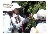 6ネイチャーガイド紹介-s 6ネイチャーガイド紹介-s