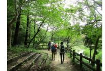 1ウエルネス紹介-s