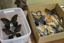 8.いきもの好き-s