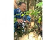 15森の健康診断-s