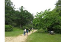 11.ウエルネスウォーキング-s 11.ウエルネスウォーキング-s