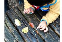 6かるがも紹介-s